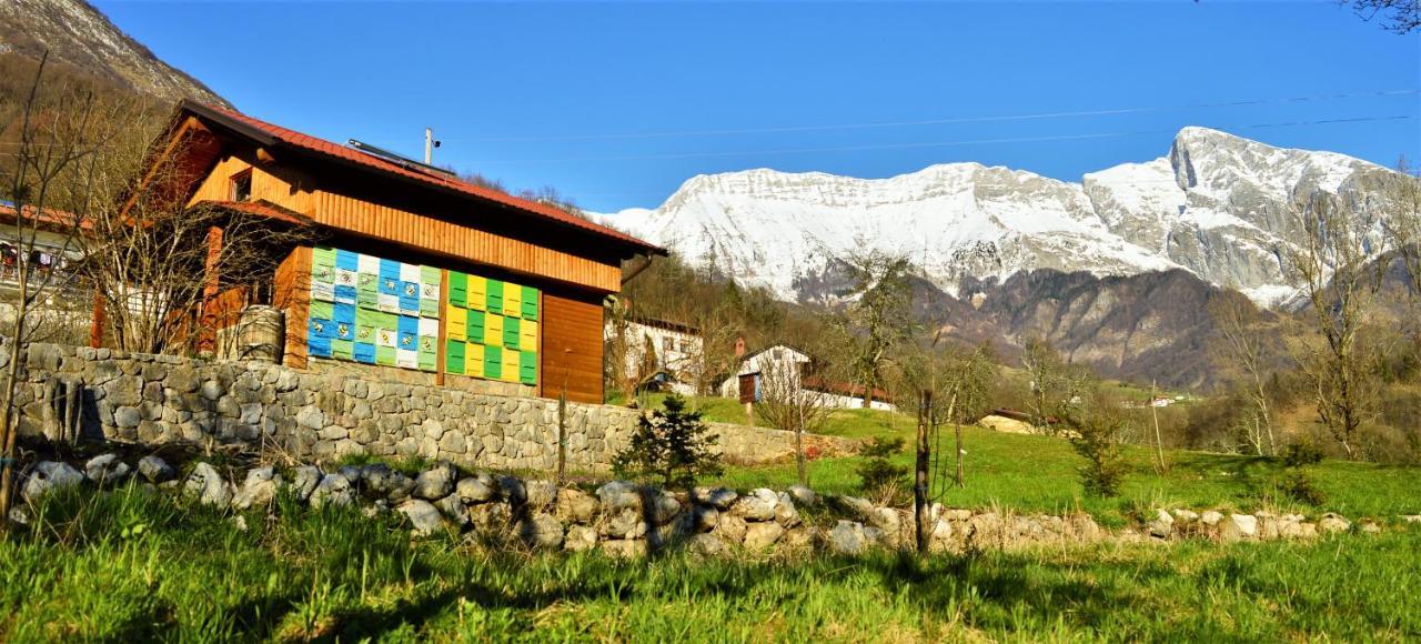 Sleeping With The Bees Kozjak 科巴里德 外观 照片