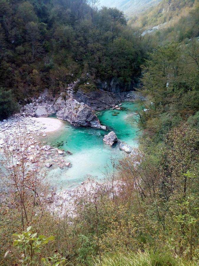 Sleeping With The Bees Kozjak 科巴里德 外观 照片