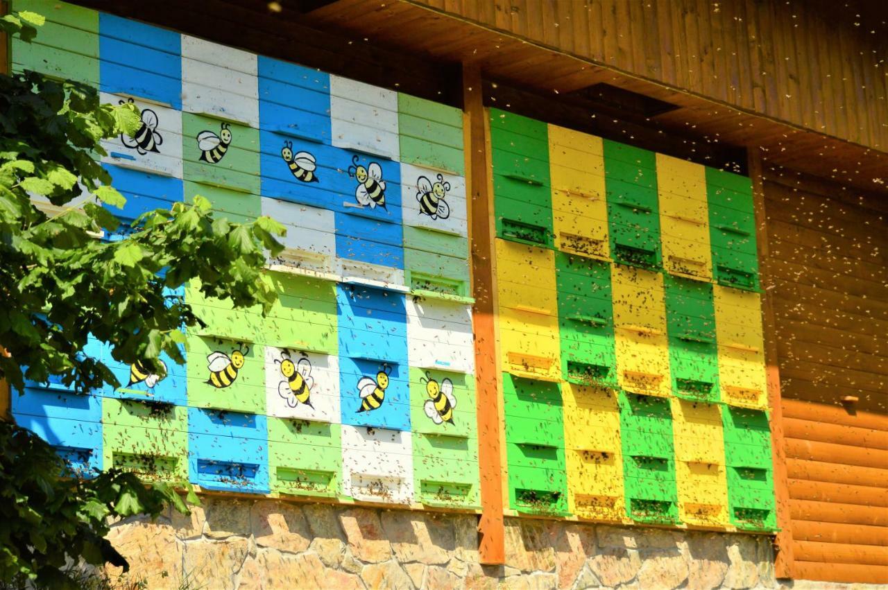 Sleeping With The Bees Kozjak 科巴里德 外观 照片